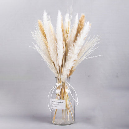 Getrocknete Pampas-Blumen, Pampas-Gras-Dekor (ohne Vase) 30er Set - Unique Outlet