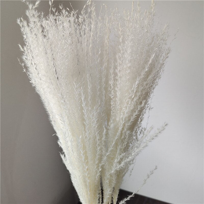 Getrocknete Pampas-Blumen, Pampas-Gras-Dekor (ohne Vase) 30er Set - Unique Outlet