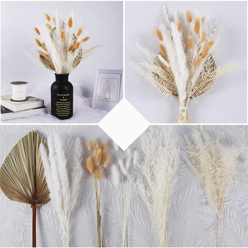 Getrocknete Pampas-Blumen, Pampas-Gras-Dekor (ohne Vase) 30er Set - Unique Outlet