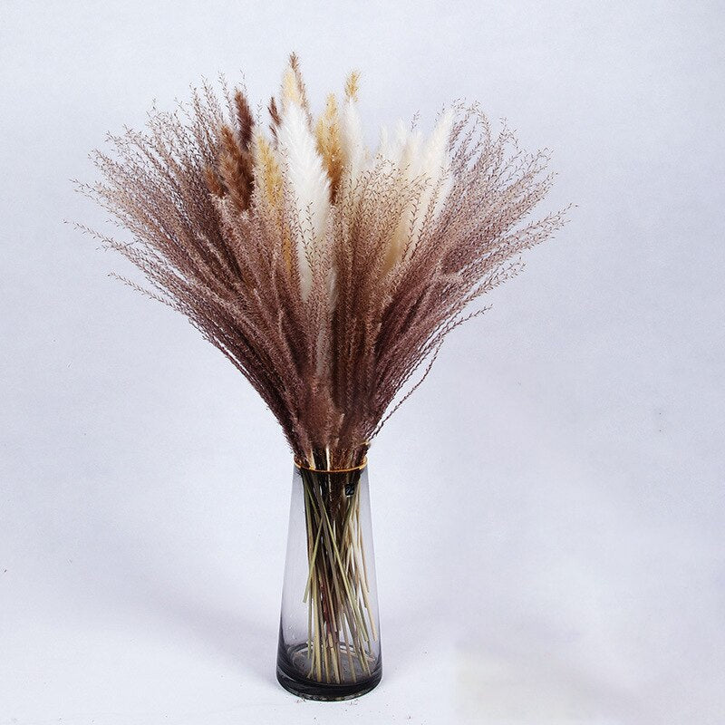 Getrocknete Pampas-Blumen, Pampas-Gras-Dekor (ohne Vase) 30er Set - Unique Outlet