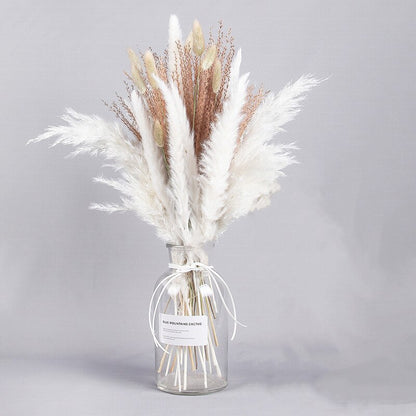 Getrocknete Pampas-Blumen, Pampas-Gras-Dekor (ohne Vase) 30er Set - Unique Outlet