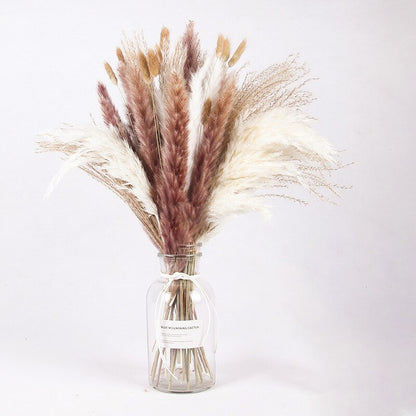 Getrocknete Pampas-Blumen, Pampas-Gras-Dekor (ohne Vase) 30er Set - Unique Outlet