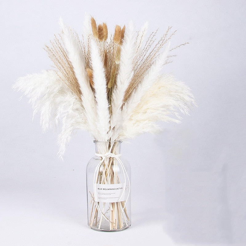 Getrocknete Pampas-Blumen, Pampas-Gras-Dekor (ohne Vase) 30er Set - Unique Outlet