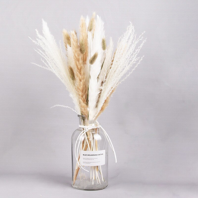 Getrocknete Pampas-Blumen, Pampas-Gras-Dekor (ohne Vase) 30er Set - Unique Outlet