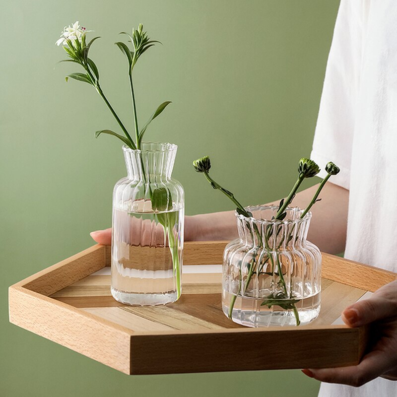 Glas-Blumenvasen im nordischen Stil - Transparente Pflanzenvase - Unique Outlet